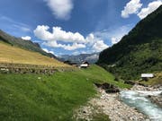 Die Centralschweizer Kraftwerke wollen die Meienreuss für ein neues Laufwasserkraftwerk nutzen. (Bild: Kurt Eichenberger)