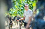 Winzer Benno Forster steht in seinem Rebberg. (Bild: Andrea Stalder)