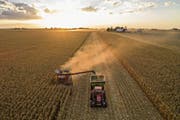 Die US-Agrarexporte machen über 10 Prozent der weltweit gehandelten Landwirtschaftsgüter aus. (Bild: Daniel Acker/Bloomberg (Princeton, 9. Oktober 2017)