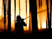 Beim Feuer im Nordosten Deutschlands brannte eine Fläche so gross wie 400 Fussballfelder. (Bild: KEYSTONE/EPA/ALEXANDER BECHER)