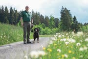 Alfred Meier ist Präsident des Zuger Patent Jägervereins. (Bild: Maria Schmid (Unterägeri, 24. Mai 2018))