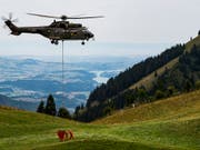 Allein die Kühe in den Waadtländer Alpen mussten während des Höhepunktes der Trockenperiode mit mehr als 3,8 Millionen Liter Wasser versorgt werden. (Bild: KEYSTONE/JEAN-CHRISTOPHE BOTT)