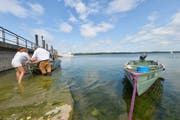 Beim Schlipf bei der Ermatinger Stedi wird gerade ein Boot ausgewassert. (Bild: Donato Caspari)