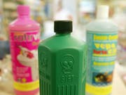 Hände weg von diesen bunten Flaschen! Kinder sind besonders häufig von Vergiftungen mit Chemikalien betroffen. (Bild: KEYSTONE/URS FLUERLER)