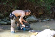 Für diese Saison wurden 19 Bewilligungen für das Suchen nach Gold in der Goldach ausgestellt. (Bild: Ines Biedenkapp)
