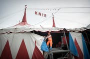 Der Circus Knie beim Aufbau in St.Gallen: Zum 100. Geburtstag soll es ein neues Zelt geben. (Archivbild: Ralph Ribi)