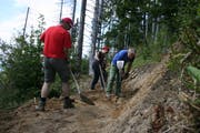 Unter Anleitung von erfahrenen Projektleitern und Fachpersonen führen Freiwillige verschiedene Arbeiten im Hilfernthal in der Gemeinde Escholzmatt-Marbach durch. (Bild: PD)