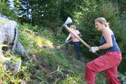 Sie retten den Wald vor der Überwucherung (Bild: PD)