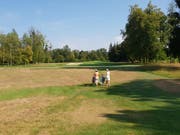 Flächen auf dem Golfplatz Niederbüren, die nicht zum eigentlichen Spielbereich gehören, sind nun teilweise verdorrt. (Bilder: Angelina Donati)