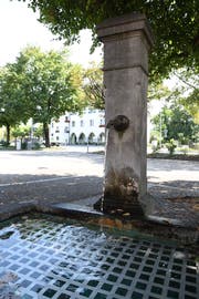 Die Brunnen der Stadt Amriswil bleiben vorläufig in Betrieb, um den Tieren den Zugang zum Wasser zu erhalten. (Bild: Rita Kohn)