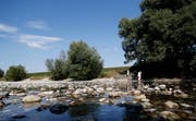 Die Reuss führt zurzeit wenig Wasser. Bild: Stefan Kaiser (Zug, 31.Juli 2018)