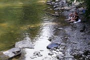 An der Sihl fällt das Entspannen leicht. Bild: Werner Schelbert (Menzingen, 1. August 2018)