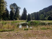 Der Wasserstand des Naturweihers auf dem Golfgelände war selten so tief.