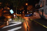 Der Betrunkene verwüstete auf seiner Fahrt eine Verkehrsinsel. (Bild: Kantonspolizei St.Gallen)