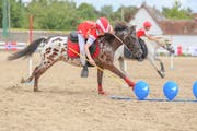 Möglichst schnell einen Parcours auf dem Pony oder Pferd absolvieren: Darum geht’s bei den «Pony Mounted Games». (Bild: PD)