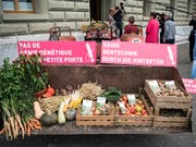 Gentech-kritische Organisationen überreichen in Bern Obst, Gemüse - und eine Petition. Sie fordern, dass neue Verfahren dem Gentechnikgesetz unterstellt werden. (Bild: KEYSTONE/PETER SCHNEIDER)