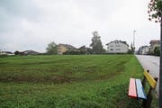 Die Bauvisiere auf der Mörschwiler Burgerwiese wurden in den vergangenen Tagen entfernt. (Bild: Perrine Woodtli)