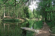 Ein Naturidyll: Die Weiher im Feldenmoos. (Bild: PD)