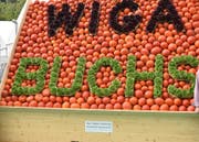 Neue Verhältnisse bei der Wigab AG. (Bild: PD)