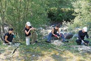 Die Weiden werden von den Frauen zu Stecklingen zugeschnitten. (Bild: Paul Gwerder, Bürglen, 3. August 2018)