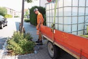 Mitarbeiter des Bauamtes sind mit einem grossen Wasserkanister unterwegs und versorgen junge Bäume mit der lebenswichtigen Flüssigkeit. (Bild: Susi Miara)