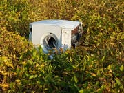 Fehl am Platz: eine Waschmaschine auf einer Wiese. (Bild: PD)