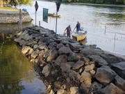 Diessenhofer Fischer fischen die Rückzugsgebiete am Rheinufer ab und setzen die Fische im Geisslibach wieder aus. Die dortigen Wassertemperaturen ermöglichen den Fischen das Überleben. (Bild: Stadtgemeinde Diessenhofen)