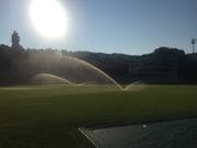 Rasensprenger auf der Luzerner Allmend. (Bild: hor)