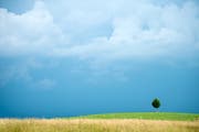 Gewitterwolken über dem Thurgau. (Bild: Reto Martin)