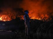 Der Waldbrand bei Monchique im Süden von Portugal hat laut einem Zeitungsbericht bereits mehr als 16'500 Hektaren Fläche zerstört. (Bild: KEYSTONE/EPA LUSA/MIGUEL A. LOPES)