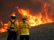 Waldbrand bei Lakeport im Norden des US-Bundesstaats Kalifornien. (Bild: KEYSTONE/EPA/JOHN G. MABANGLO)
