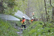 Die Feuerwehr Engelberg bei einer Waldbrand-Übung im Jahr 2017. (Bild: PD)