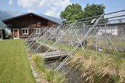 Die Aufzuchtanlage Böschengiessen des Fischereivereins Werdenberg beherbergt nun Gäste aus anderen Gewässern. (Bild: Heini Schwendener)