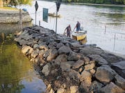 Diessenhofer Fischer fischen den Bereich der Geisslibach-Mündung ab. Die Fische werden in den Oberlauf des Bachs verfrachtet. (Bild: PD)