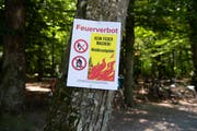 Das Feuerverbot gilt bis auf weiteres und muss konsequent eingehalten werden. Bild: Keystone