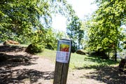 Mit Plakaten wird im Kanton Luzern – hier im Wald von Greppen – auf das Feuerverbot und die Waldbrandgefahr aufmerksam gemacht. (Bild: Alexandra Wey/Keystone (Greppen, 26. Juli 2018)))