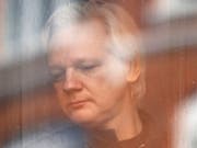Julian Assange am Fenster der ecuadorianischen Botschaft in London (Aufnahme vom Mai 2017). (Bild: KEYSTONE/AP/FRANK AUGSTEIN)