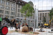 Mit blosser Muskelkraft wird ein Baum hochgezogen. (Bild: Livia Grob)