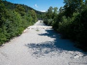Die beklemmenden Bilder der ausgetrockneten Töss täuschen: Der Fluss ist - wie so oft - versickert und fliesst als Grundwasserstrom nach Winterthur. (Bild: KEYSTONE/MELANIE DUCHENE)