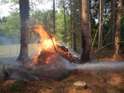 Der brennende Asthaufen im Wald bei Heimenhofen TG konnte von der Feuerwehr rasch gelöscht werden. (Bild: Kapo Thurgau)