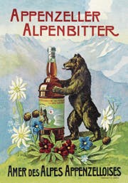Auch Bären stehen offenbar auf das Bittergetränk. Das älteste noch vorhandene Werbeplakat für Appenzeller Alpenbitter stammt aus dem Jahr 1921. (Bild: PD)
