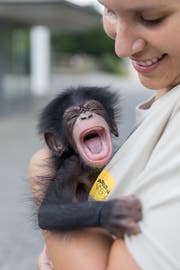 Das Schimpansenbaby und Tierpflegerin Gaby Indermaur. (Bild: pd)