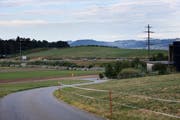 Der Wall entlang der Autobahn 4 zwischen Cham und Hünenberg besteht aus deponiertem Bau-Aushub-Material. (Bild: Stefan Kaiser (Zug, 08. August 2018))