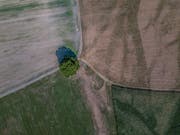 Das landwirtschaftliche Kulturland - hier in Malters - leidet unter der Hitze und dem mangelnden Regen. (Bild: Pius Amrein, 5. August 2018)