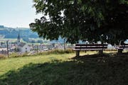 Weitblick, Wärme und ein Plätzchen im Schatten – das gibt es beim «Lindeli». (Bild: Anina Rütsche)
