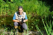 Der Biologe Beat von Wyl inspiziert die von ihm initiierten kleinen Amphibien-Weiher am Wichelsee. (Bilder: Romano Cuonz (Kägiswil, 28. Juli 2018))