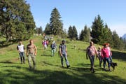Rund 80 Personen liessen sich von den Ortsgemeinde-Vertretern über die Vorzüge des Waldes informieren. (Bild: Martin Trendle)