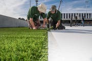 Holländische Arbeiter verlegen den neuen Kleinfeld-Rasen in Kriens. (Bild: Nadia Schärli, 10. September 2018)