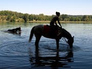 Hitze im Herbst: In Sitten VS ist es am Montag über 30 Grad heiss geworden. (Bild: KEYSTONE/MELANIE DUCHENE)