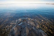 Wasserspeicher für St. Gallen: Die Stadt bezieht ihr Wasser aus dem Bodensee. (Bild: Ralph Ribi)